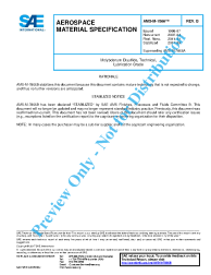 SAE AMS-M-7866B:2017-09-22