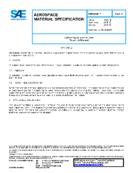 SAE AMS 2484C:2019-01-04
