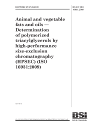 BS EN ISO 16931:2009