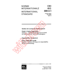 IEC 60300-3-1:1991