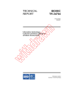 ISO/IEC TR 24704:2004
