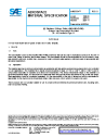 SAE AMS 3334G:2024-11-06