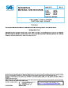 SAE AMS 1383B:2020-07-23