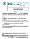SAE AMS 6487M:2021-11-23