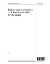 BS EN ISO 17132:2007