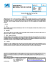 SAE AMS 7913E:2024-12-10