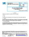 SAE AMS 5638G:2021-05-04