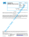 SAE AMS 4751D:2017-04-20