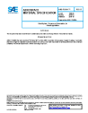 SAE AMS-P-21600B:2019-10-28