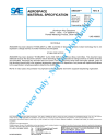 SAE AMS 4309B:2017-04-04