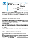 SAE AMS 6529E:2022-11-02