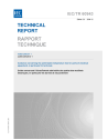 IEC TR 60943:1998/AMD1:2008