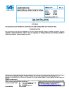 SAE AMS 3813/1B:2016-06-15