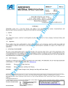 SAE AMS 6278E:2016-02-24