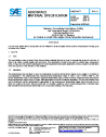SAE AMS 3346H:2019-10-24