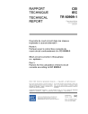 IEC TR 60909-1:2002