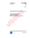 CISPR TR 29:2004