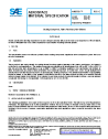 SAE AMS 3381C:2022-04-13