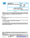 SAE AMS 4207D:2024-06-10
