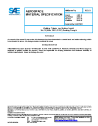 SAE AMS 3799/2D:2018-07-31