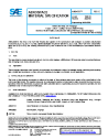 SAE AMS 4333E:2022-06-09