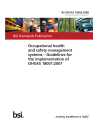 BS OHSAS 18002:2008