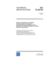 IEC TS 62143:2002