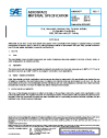 SAE AMS 4348F:2025-06-17