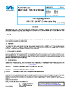 SAE AMS 4766J:2021-09-01