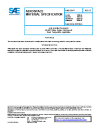 SAE AMS 1384B:2020-07-24