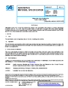 SAE AMS 4395G:2024-05-17