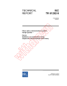 IEC TR 61282-9:2006