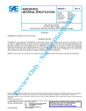 SAE AMS 6386D:2016-06-06