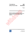 IEC TS 61934:2006