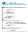 SAE CPGM 1_14LV3SILV:2013-09-13