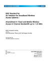 IEEE 802.16s:2017