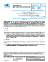 SAE AMS 5934/H 1000A:2024-08-19