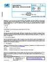 SAE AMS 6348F:2023-10-20