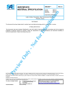 SAE AMS 3800B:2016-06-20