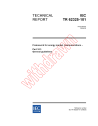 IEC TR 62325-101:2005