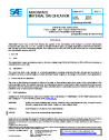 SAE AMS 4100G:2024-01-16