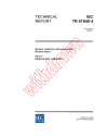 IEC TR 61948-4:2006