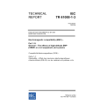 IEC TR 61000-1-3:2002