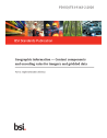 PD ISO/TS 19163-2:2020
