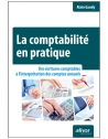 La comptabilité en pratique - Des écritures comptables à l'interprétation des co