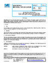 SAE AMS 4268B:2024-12-10