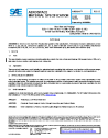 SAE AMS 6509B:2022-09-30