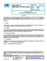 SAE AMS 2431/2G:2022-11-22