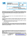 SAE AMS 4601B:2025-07-09
