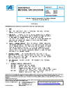 SAE AMS 3689B:2022-08-10
